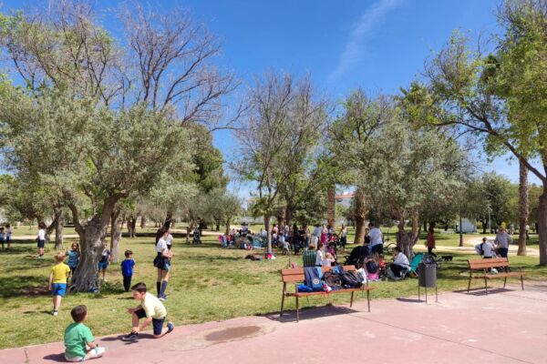 WhatsApp Image 2023-05-03 at 11.49.52