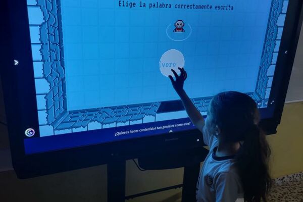 WhatsApp Image 2023-06-30 at 08.12.08