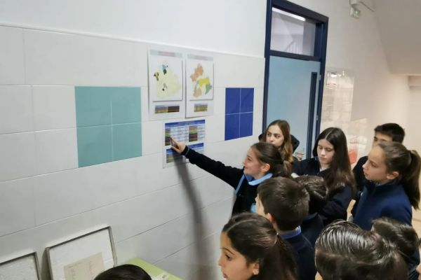 WhatsApp Image 2024-02-02 at 12.19.54