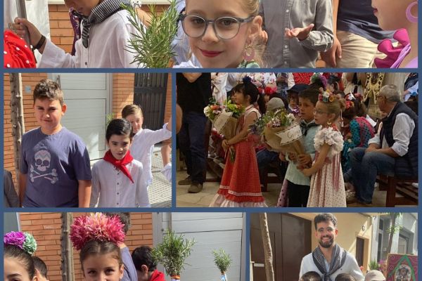 WhatsApp Image 2024-05-12 at 21.09.21