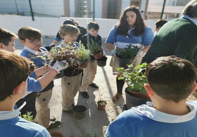 WhatsApp Image 2024-05-29 at 11.40.55 (4)