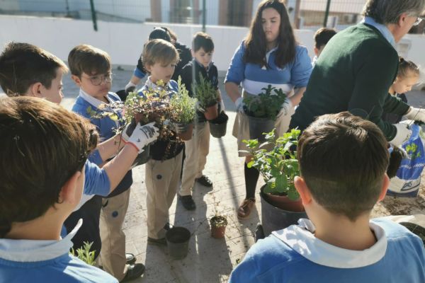 WhatsApp Image 2024-05-29 at 11.40.55 (4)