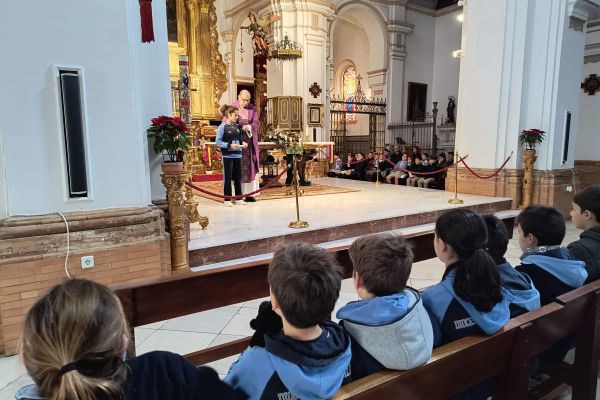 IMG-20241228-WA0194 IMG-20241228-WA0194