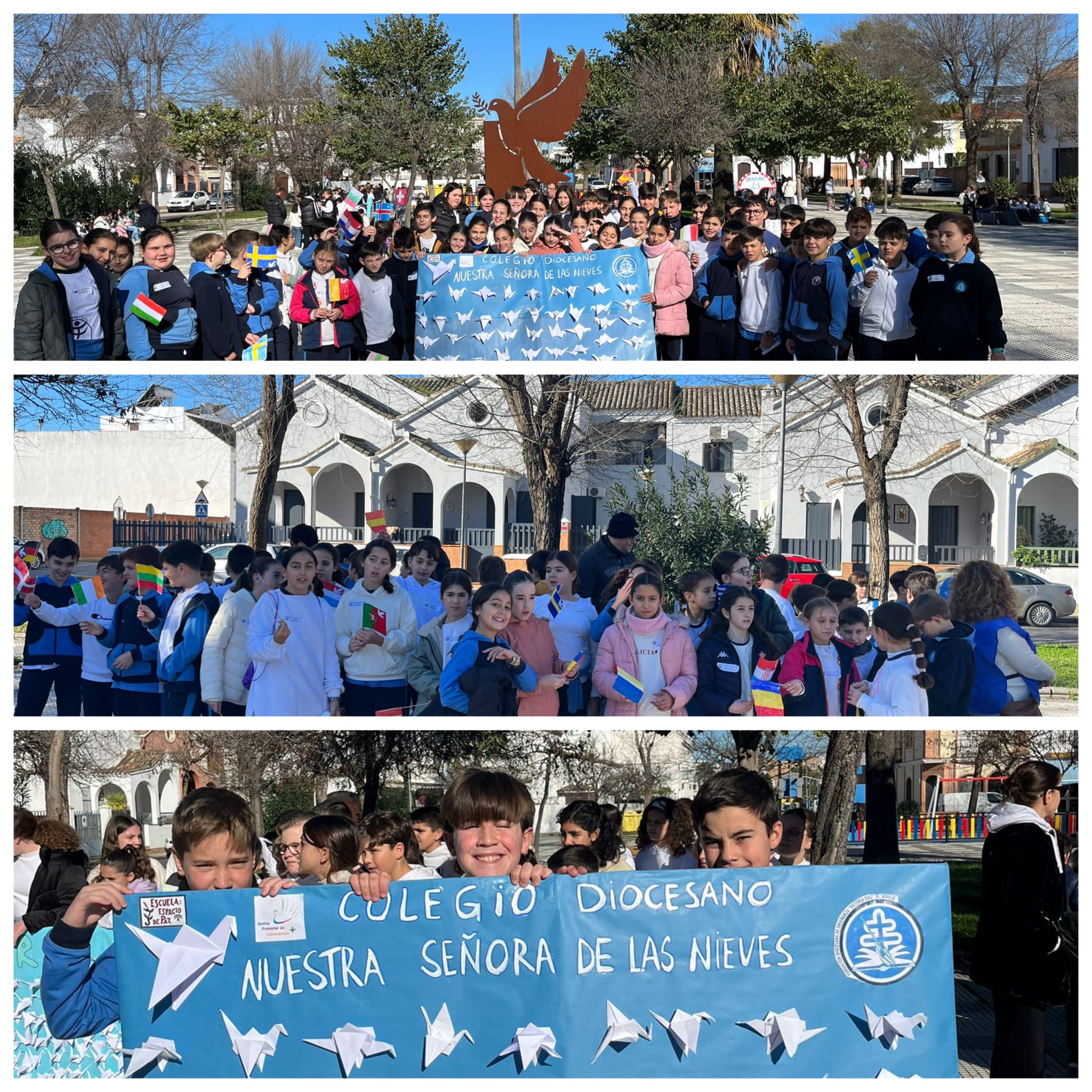 WhatsApp Image 2025-01-31 at 14.56.44