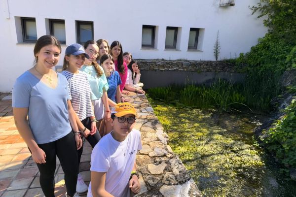 WhatsApp Image 2025-04-29 at 13.43.55 (1)