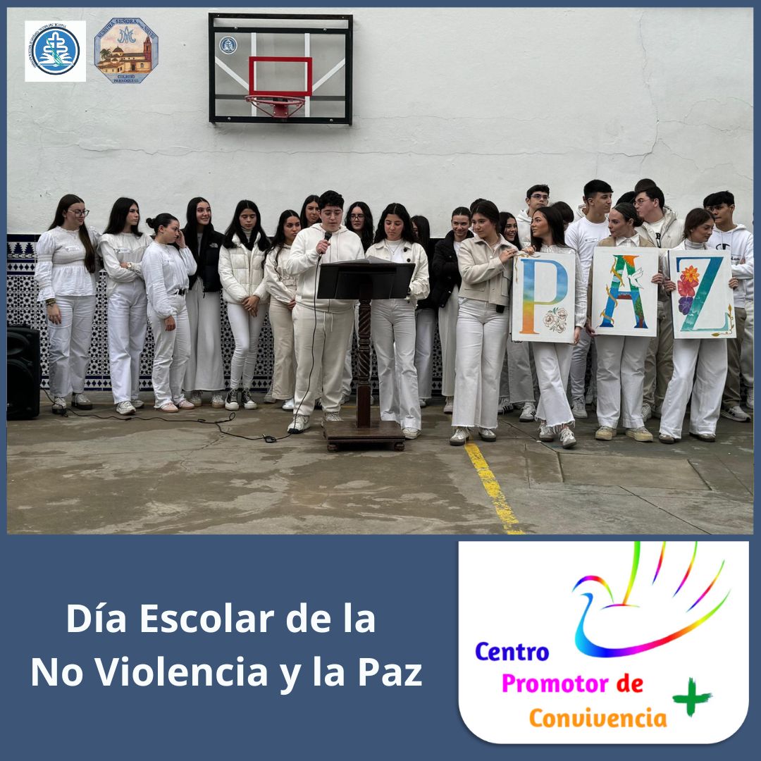 WhatsApp Image 2026-02-04 at 19.40.08 (3)