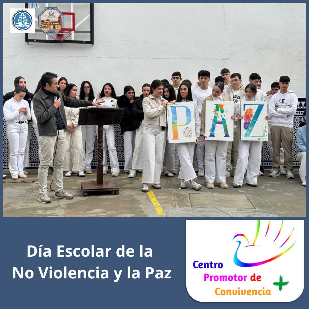 WhatsApp Image 2026-02-04 at 19.40.08 (4)