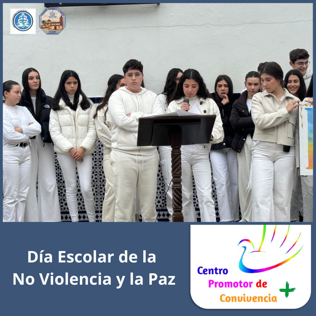 WhatsApp Image 2026-02-04 at 19.40.09