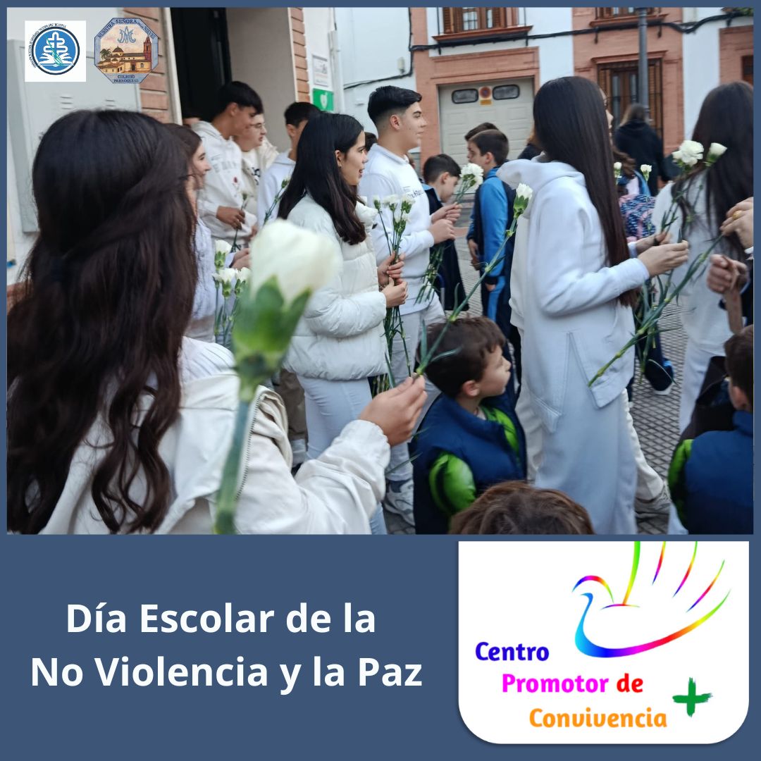 WhatsApp Image 2026-02-04 at 19.40.10