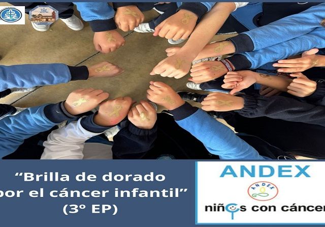 WhatsApp Image 2026-02-18 at 19.02.08