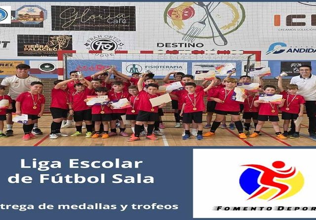 6 - copia